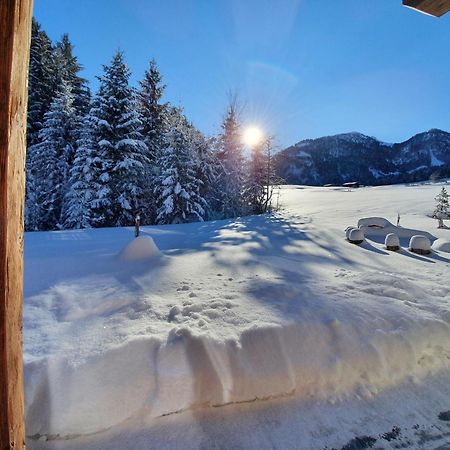 Zeitfrei Chalet Apartments Fieberbrunn Dış mekan fotoğraf