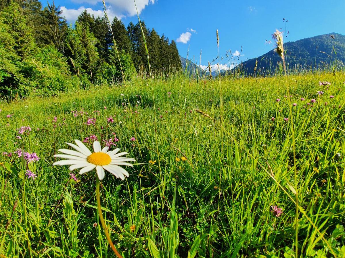 Zeitfrei Chalet Apartments Fieberbrunn Dış mekan fotoğraf