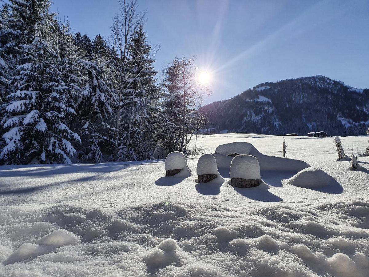 Zeitfrei Chalet Apartments Fieberbrunn Dış mekan fotoğraf
