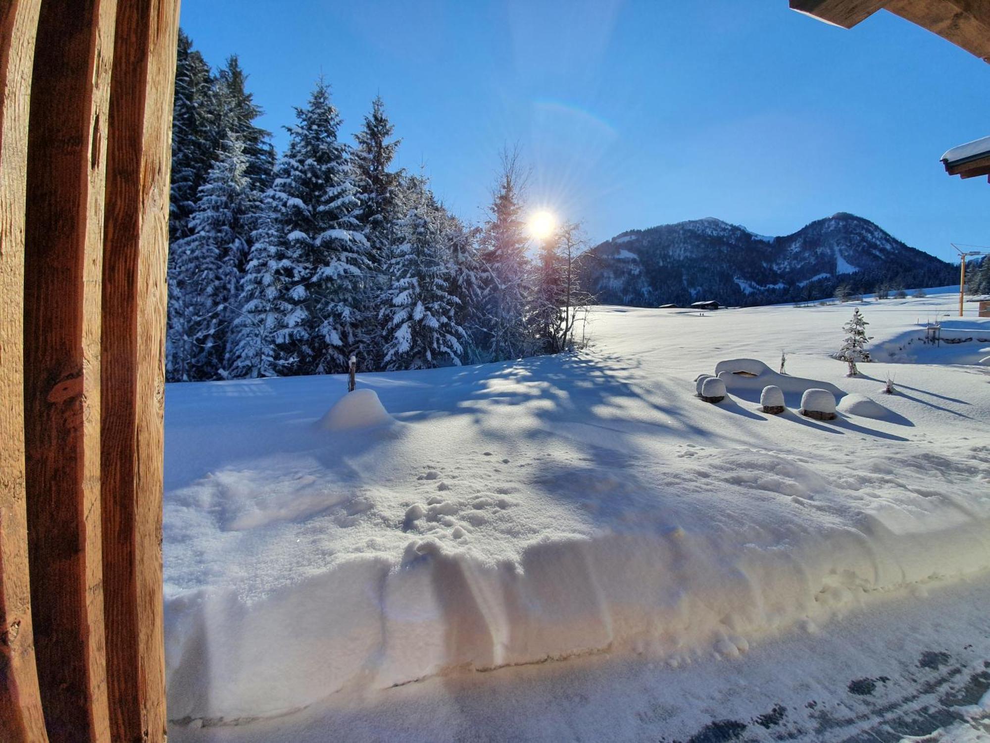 Zeitfrei Chalet Apartments Fieberbrunn Dış mekan fotoğraf
